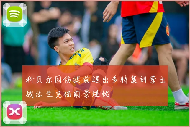 科贝尔因伤提前退出多特集训营出战法兰克福前景堪忧