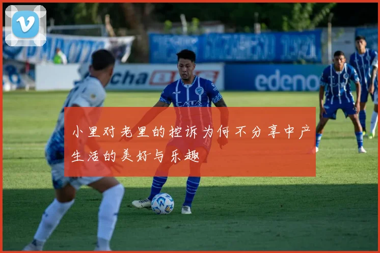 小里对老里的控诉为何不分享中产生活的美好与乐趣
