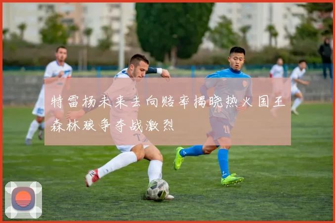 特雷杨未来去向赔率揭晓热火国王森林狼争夺战激烈