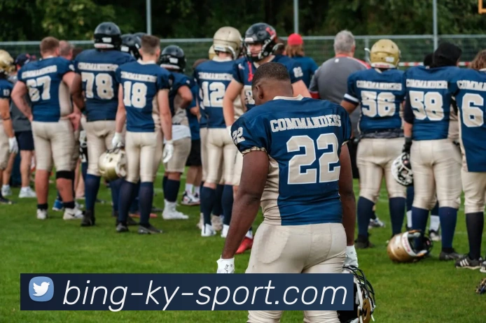 开云体育APP 高清赛事图